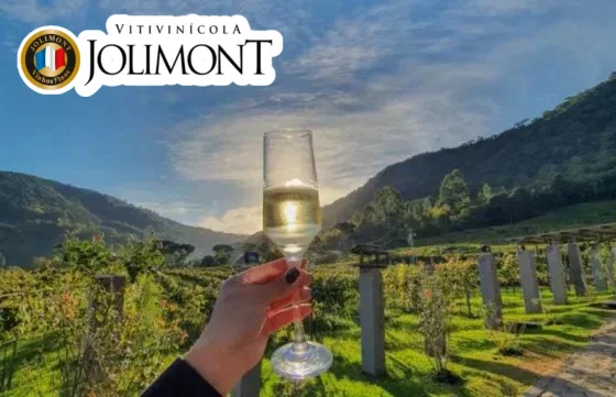 Tour Vinhos e Sabores